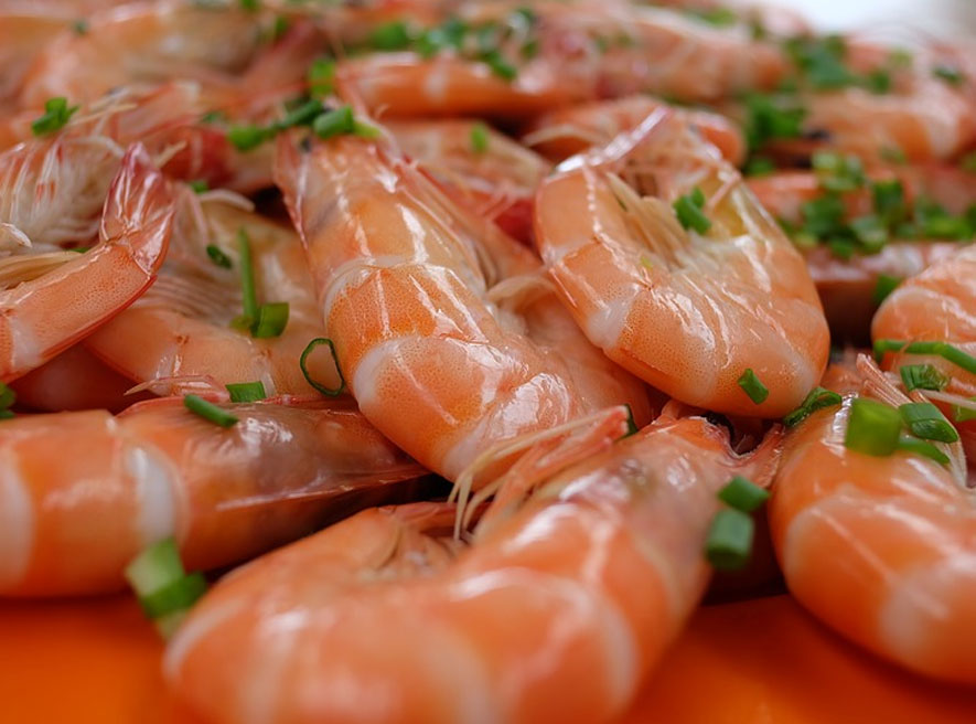 Customised Seafood Packaging, Flexoplas Packaging Limited New Zealand